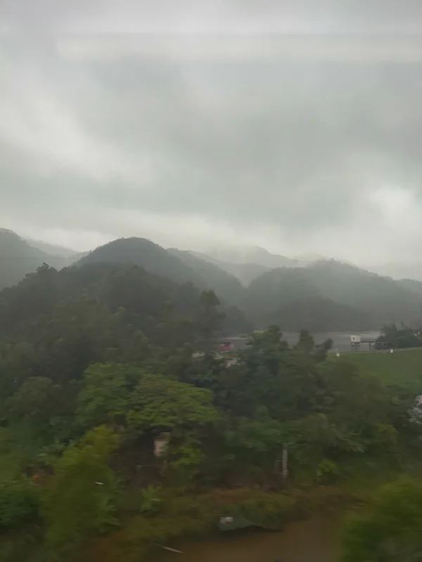 Photo: 大雨滂沱