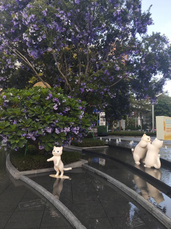 Photo: 環宇城